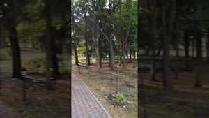 санатория зелёная роща