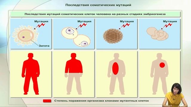 Лекция 8. Мутационная изменчивость. Типы мутаций.