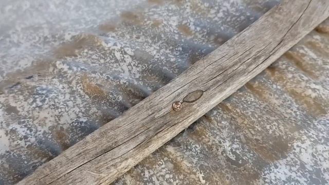 Чем крепить плёнку к деревянной теплицы. Капельная лента б/у vs дранка смотреть онлайн