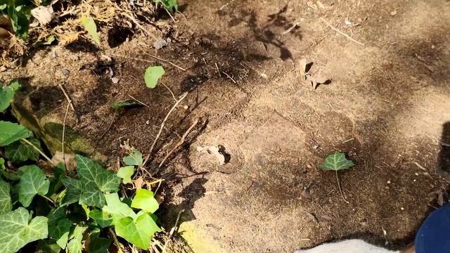 ДНК Староармянское кладбище Выпуск первый смотреть онлайн