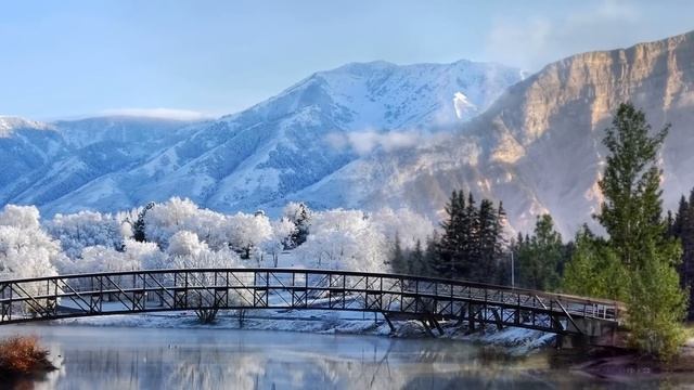 Сказала мужу, что в командировке и собрав друзей, решила устроить ему сюрприз в день рождения. Но.. смотреть онлайн