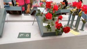 CSIR-NBRI Annual Flower Shows (Rose & Gladiolus)- 2019 : Vlogging with Vimla #Indian Vlogger