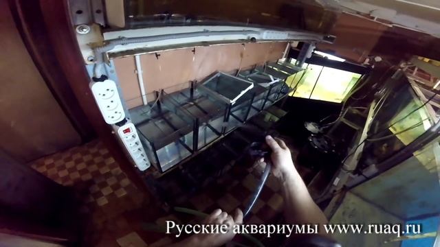 Личинки, личинки, мальки смотреть онлайн