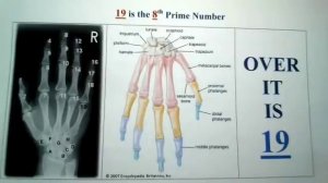 Quran Proof - Japanese Man Explains - Number 19 Miracle discovered in the United States of America