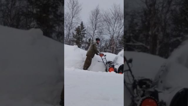 Тест снегоуборщика Carver 7лс за 59.999 руб? На сколько далеко кидает снег? тестим ?