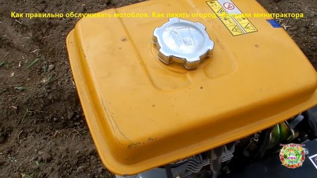 Как правильно обслуживать мотоблок. Как пахать огород фрезами минитрактора. Лайфхаки смотреть онлайн