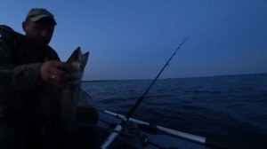 РЫБАЛКА В КАРЕЛИИ НА ОНЕЖСКОМ ОЗЕРЕ! СУДАК,ЕЩЁ СУДАК,ОПЯТЬ СУДАК!!!