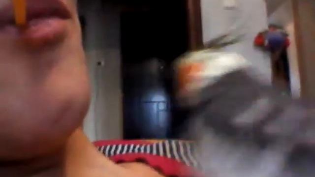 Попугай и палочка от чупа-чупса ! смотреть онлайн