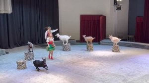 Театр Дурова.