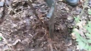 Подъем МП-40| WW2 relics hunting. MP-40.