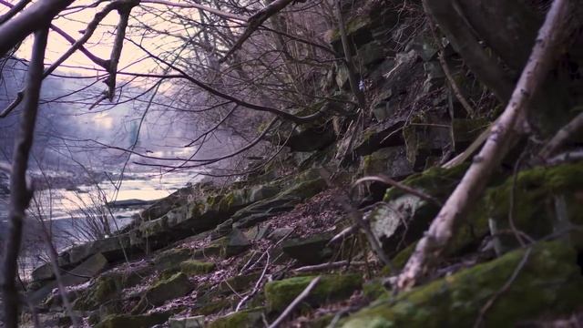 Лечение Дисплазии Шейки Матки 3 стадии | Мой Опыт Лечебного Голодания. смотреть онлайн