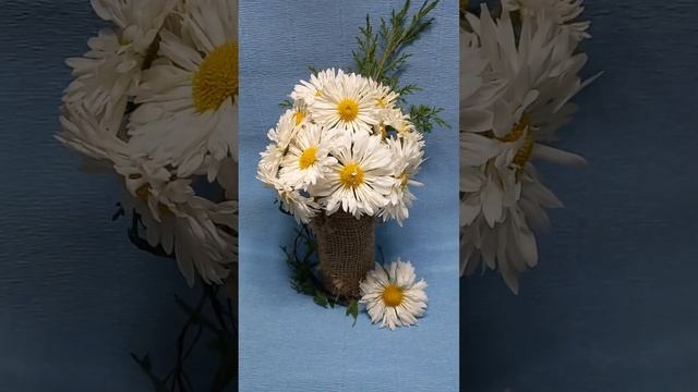 Вологодское кружево, хризантема в сад.? #chrysanthemumflower