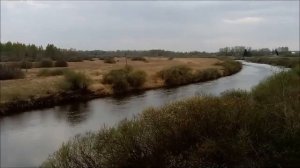 С Лазуткин - Желтая река (кавер на Yellow River