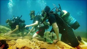 Аквалангисты