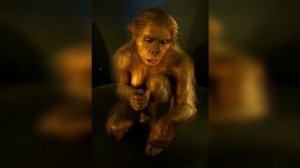 Homo habilis - человек умелый