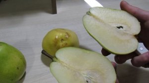 Груша Лукас, Сокровище. Обзор и дегустация