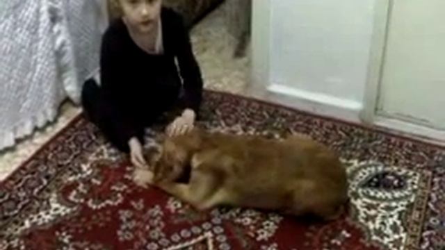 junıor trainer 2
