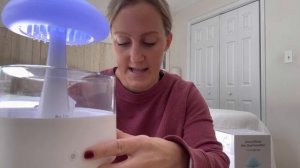 Rain Cloud Humidifier