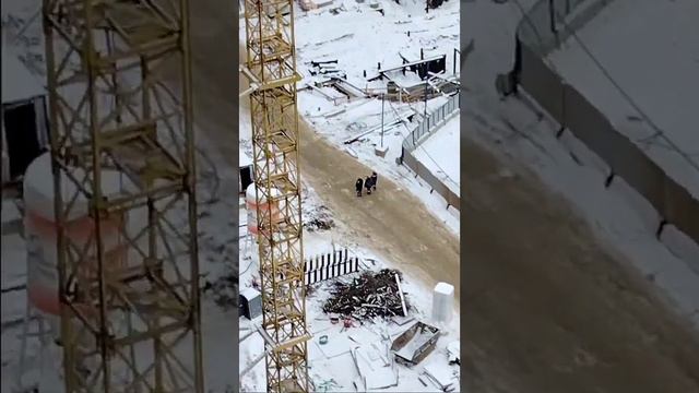 ЖК ВАНГАРДЕН смотреть онлайн