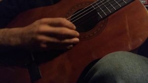stagg classical guitar sound