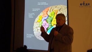 Профессор Савельев - как мелкая моторика и каллиграфия влияет на мозг.