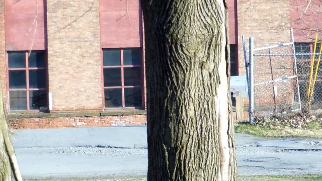 Nikon s6300 1080p Test 4 смотреть онлайн