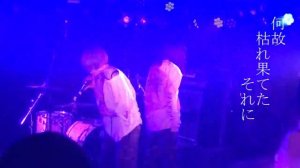 「nerine」 LIVE MUSIC VIDEO