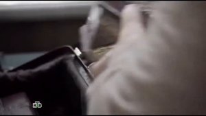 Ленинград 46