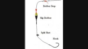 Night Fishing 101: Everything you need to know to get started night fishing!