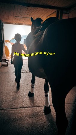 Соня и Джуниор. На трениров-ку-ке😃