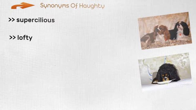Haughty - Meanings Pronunciation Examples and Synonyms смотреть онлайн