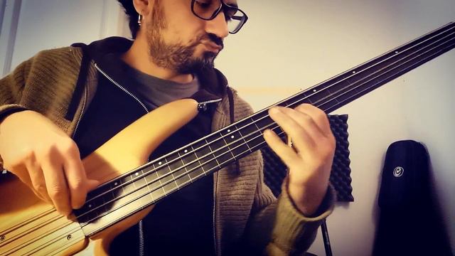 Sergio Di Finizio - Daft Punk Nightvision, impro on fretless bass смотреть онлайн