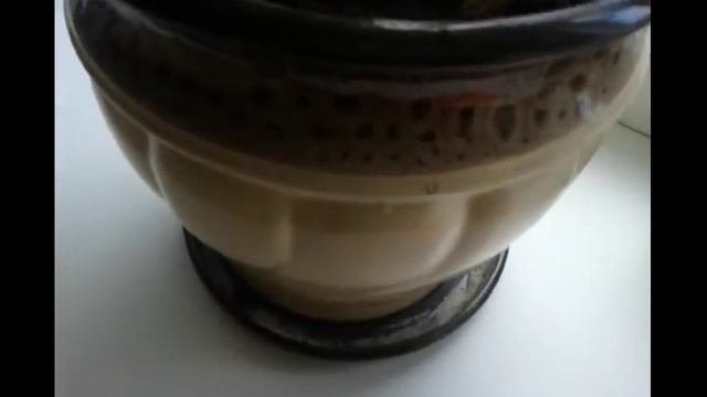 Драцена -  уход в домашних условиях / как оживить драцену