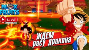 ЖДЕМ РАСУ ДРАКОНА и ОБНОВУ БФБЛОКС ФРУТС РОБЛОКС РЕЙДЫ, БОССЫ, ИВЕНТ, ЛЕВИАФАН 849