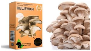 Набор для выращивания грибов "Домашняя грибница": купить здесь!