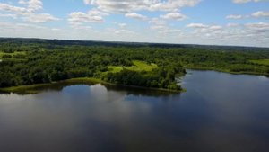 Продажа участка земли на берегу озера Ужо в Псковской области за 1,55 млн рублей