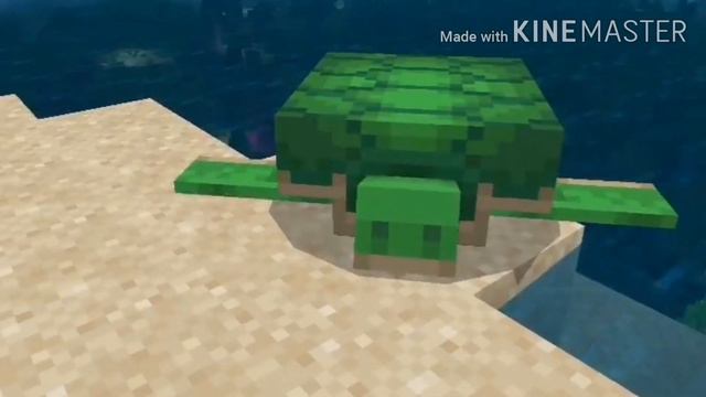 Морская черепашка по имени Наташка - клип смотреть онлайн