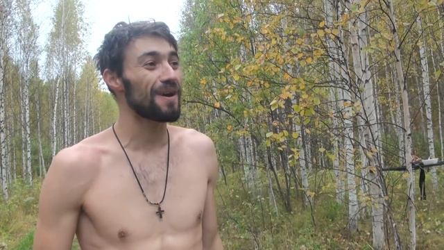 Охота на медведя на овсах.  Раненый медведь.