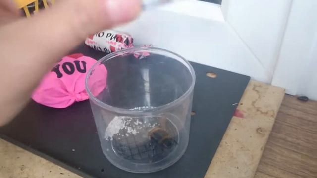 Шмель проснулся? где нашли его??? смотреть онлайн