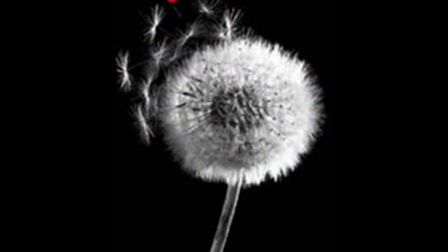 Evermore - - - W.A.S.P. смотреть онлайн