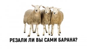 Резали ли вы сами барана?