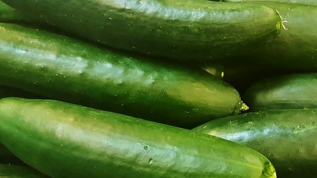 Огурцы растут пучками и не желтеют листья огурцов, всего то подливаю это под огурцы