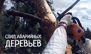Спил аварийных деревьев