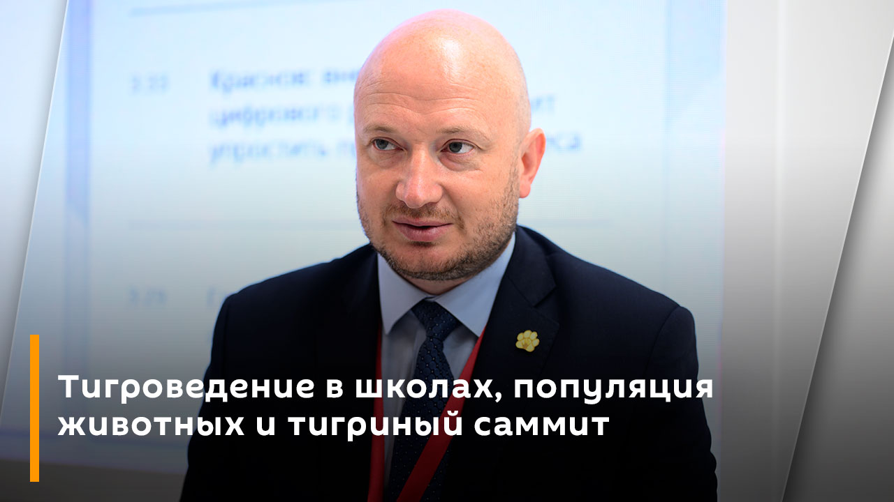Тигроведение в школах, популяция животных и тигриный саммит
