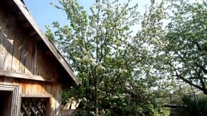 БЫЛА ВЕСНА,