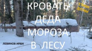 Удивительная, неожиданная находка в лесу, которая помогла многое выяснить. Левинов Иран. Стихи.