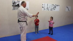 Карате. Блок/удар Шото уке (Shoto Uke). Видеоурок.