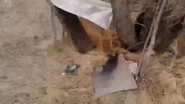 Regulmoto vs Virus питбайки 125сс смотреть онлайн