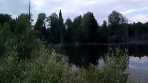 Озеро в тайге за Промышленновским