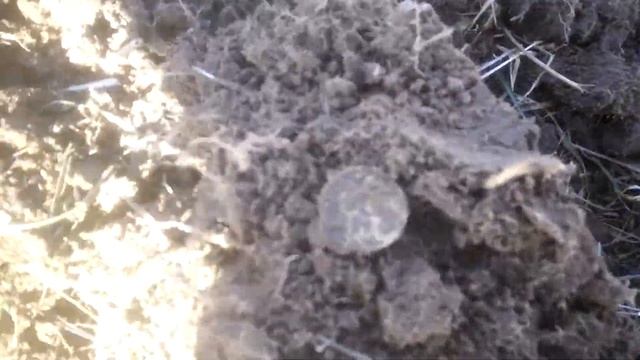 старинный навесной замок смотреть онлайн